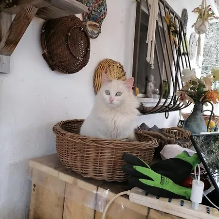 Nature Ostuni